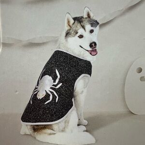Halloween Spider Design Black Dog outfit